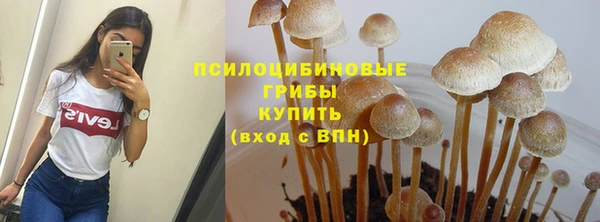 винт Саяногорск