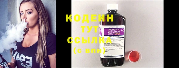 хмурый Сатка
