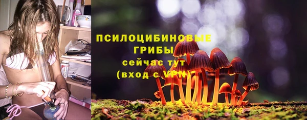 ГАЛЛЮЦИНОГЕННЫЕ ГРИБЫ Семёнов
