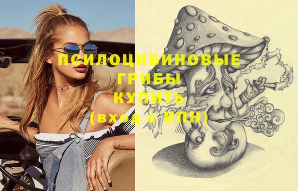 хмурый Сатка
