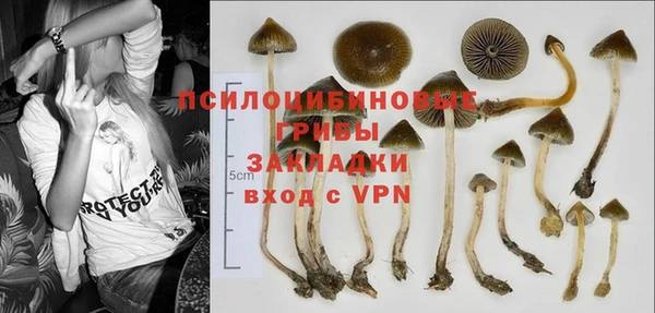 меф Сафоново