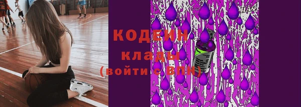 хмурый Сатка