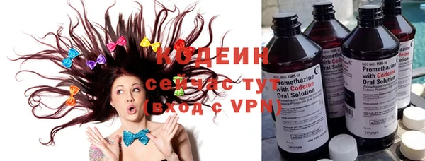хмурый Сатка