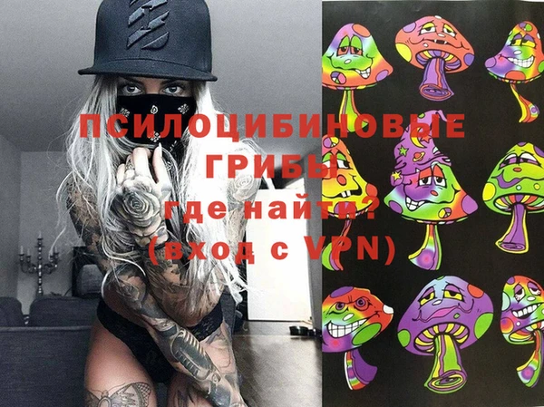 хмурый Сатка