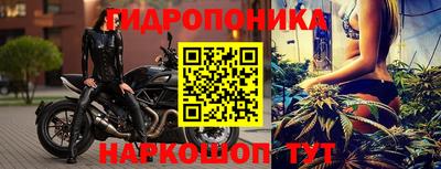 Альфа ПВП Гусиноозёрск