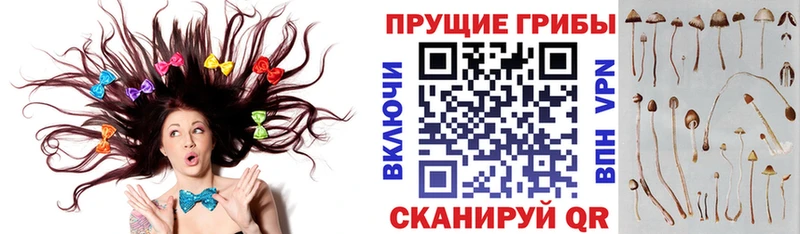 Галлюциногенные грибы мухоморы  Славянск-на-Кубани 